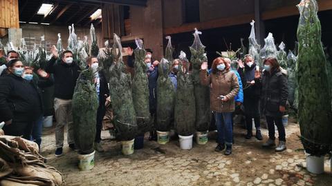 Hessen helfen Weihnachtsbäume