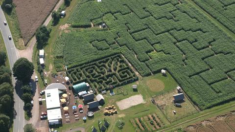 Maislabyrinth am Edersee