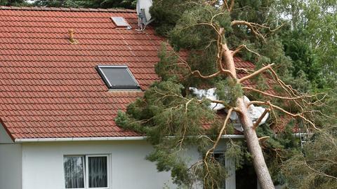 Ein Baum ist in ein Haus gestürzt